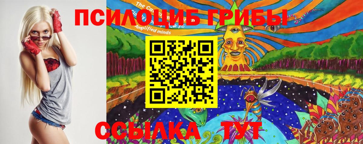 Галлюциногенные грибы ЛСД  Вход с VPN  Рассказово 