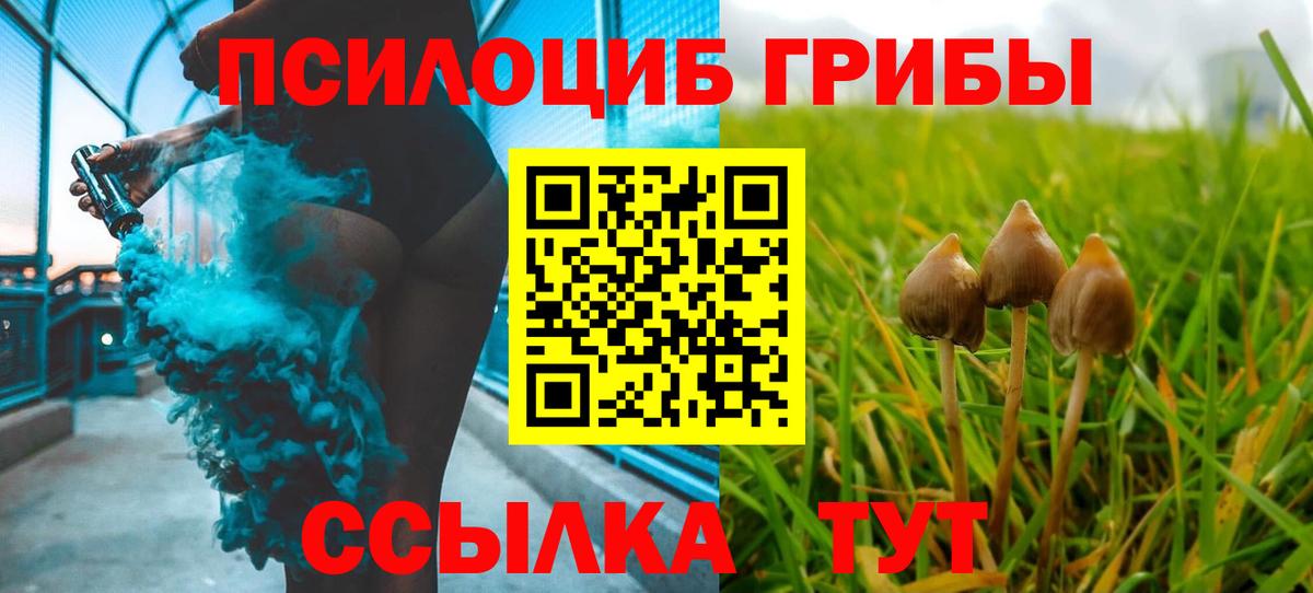 Галлюциногенные грибы ЛСД Рассказово